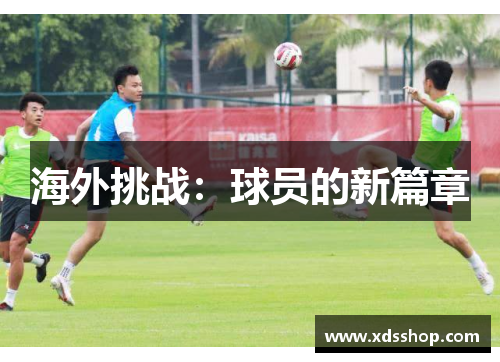 海外挑战：球员的新篇章